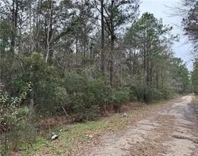 Other - ST LOUIS Street, Lacombe, LA