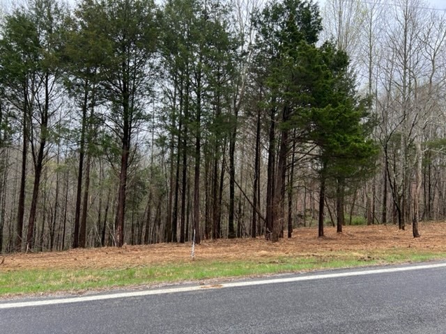 Other - Willow Grove Hwy lot: 1, Allons, TN