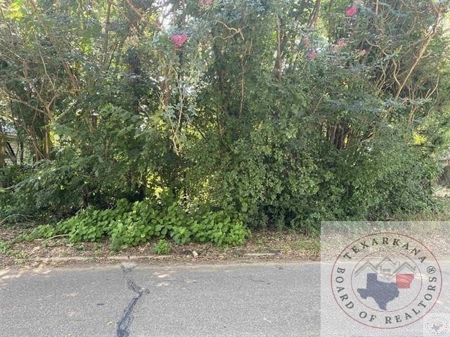 Other - 321 Reading Street, Texarkana, TX