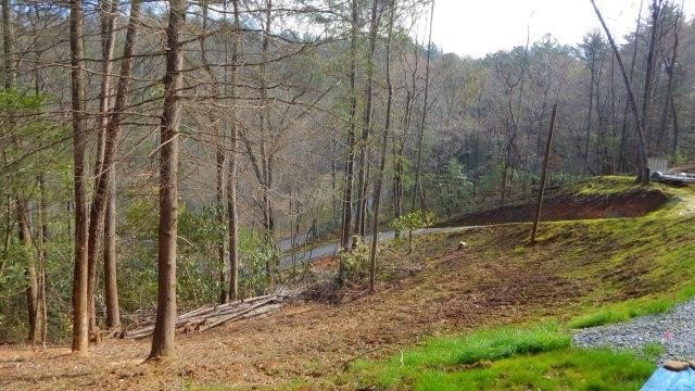 Other - 675 Ed Graves Road, MURPHY, NC