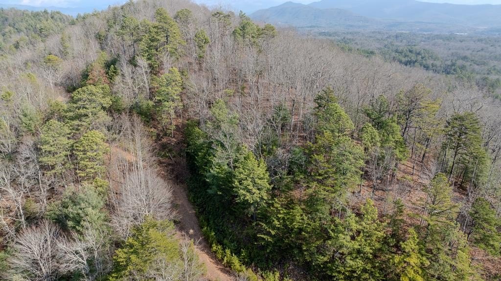 Other - 1.03 Deep Forest Rd, MURPHY, NC