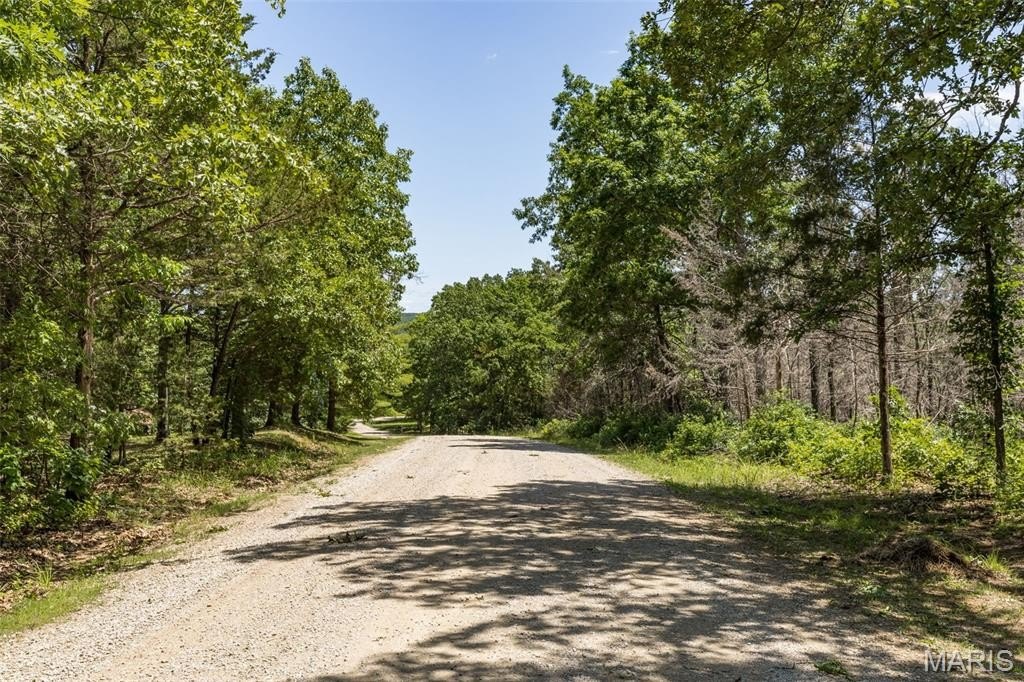 Other - 0 Verdun Place, Bonne Terre, MO