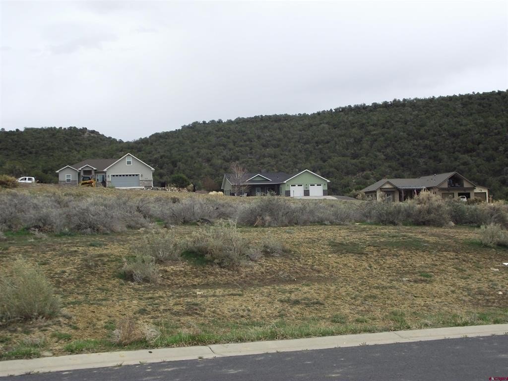 Other - 725 SE Pinyon Street, Cedaredge, CO