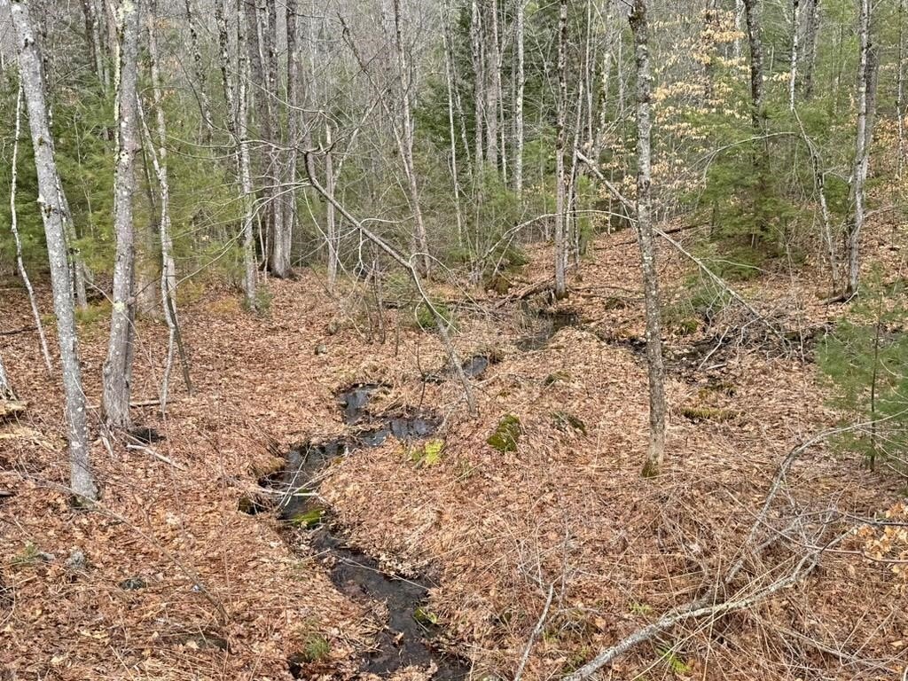 Other - 78 Hopper Road, Milton, NH