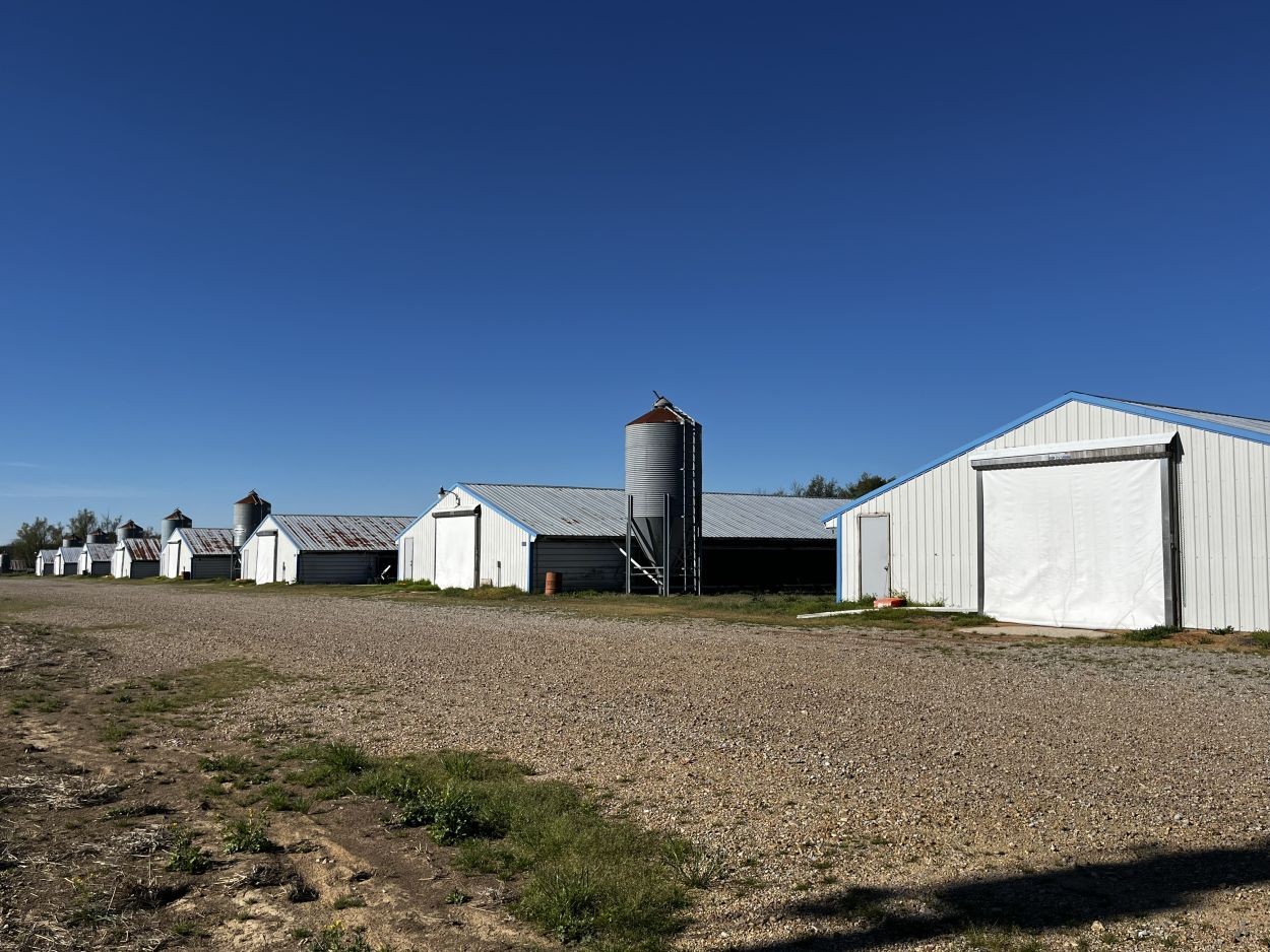 7428 County Rd 420  