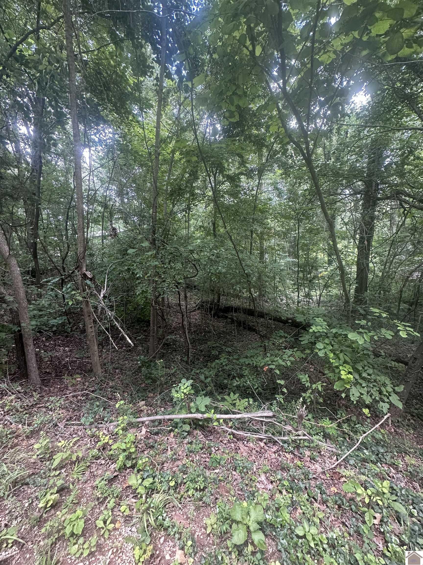Other - 0000 Country Hills Dr., Eddyville, KY