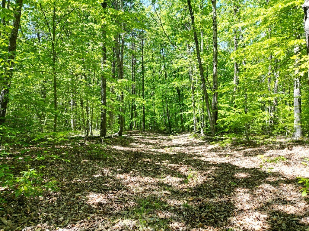 Other - Lewistown Road, Locust Grove, VA