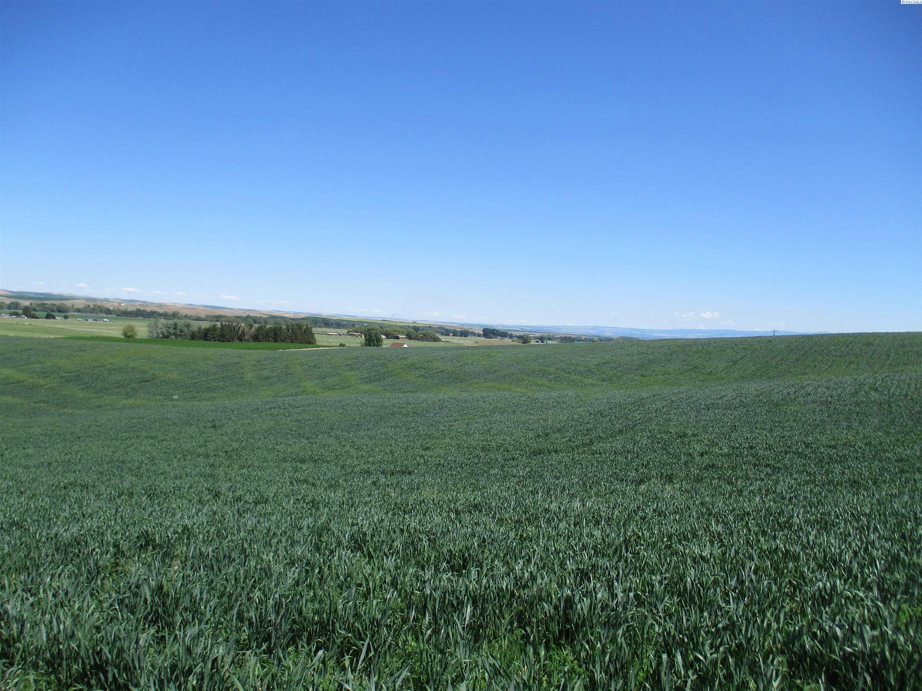 Plots and Land - 4285 Detour Road, Touchet, WA