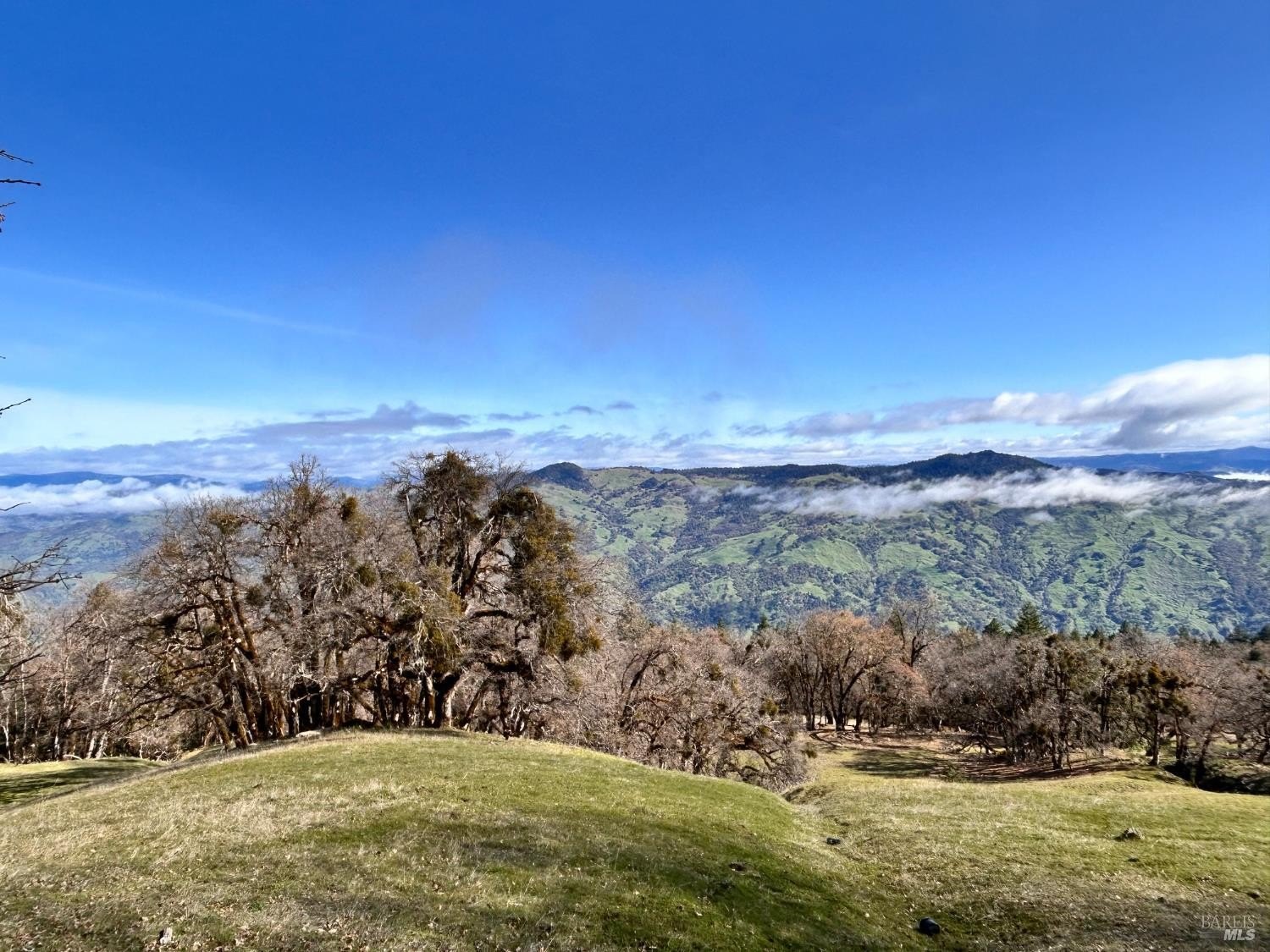 Other - 74000 Island Mountain Road, Laytonville, CA