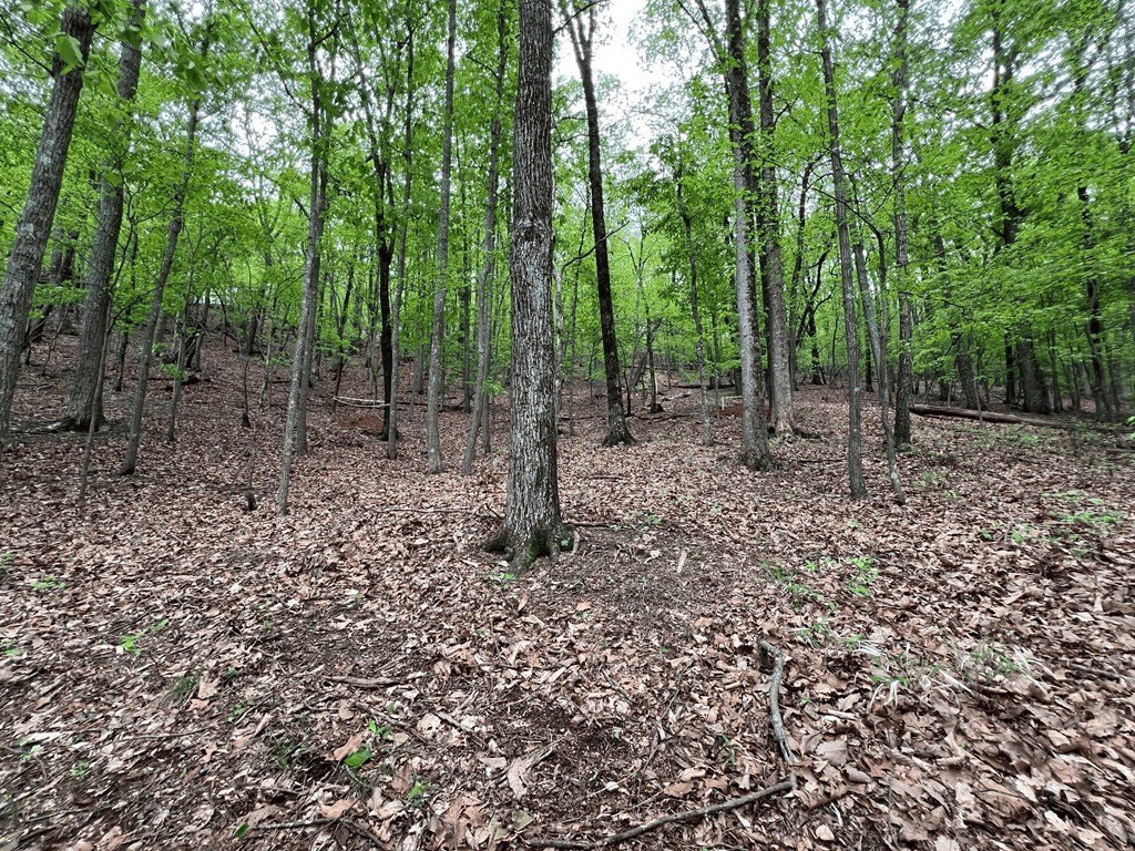 Other - 387 Windflower Drive, Big Canoe, GA