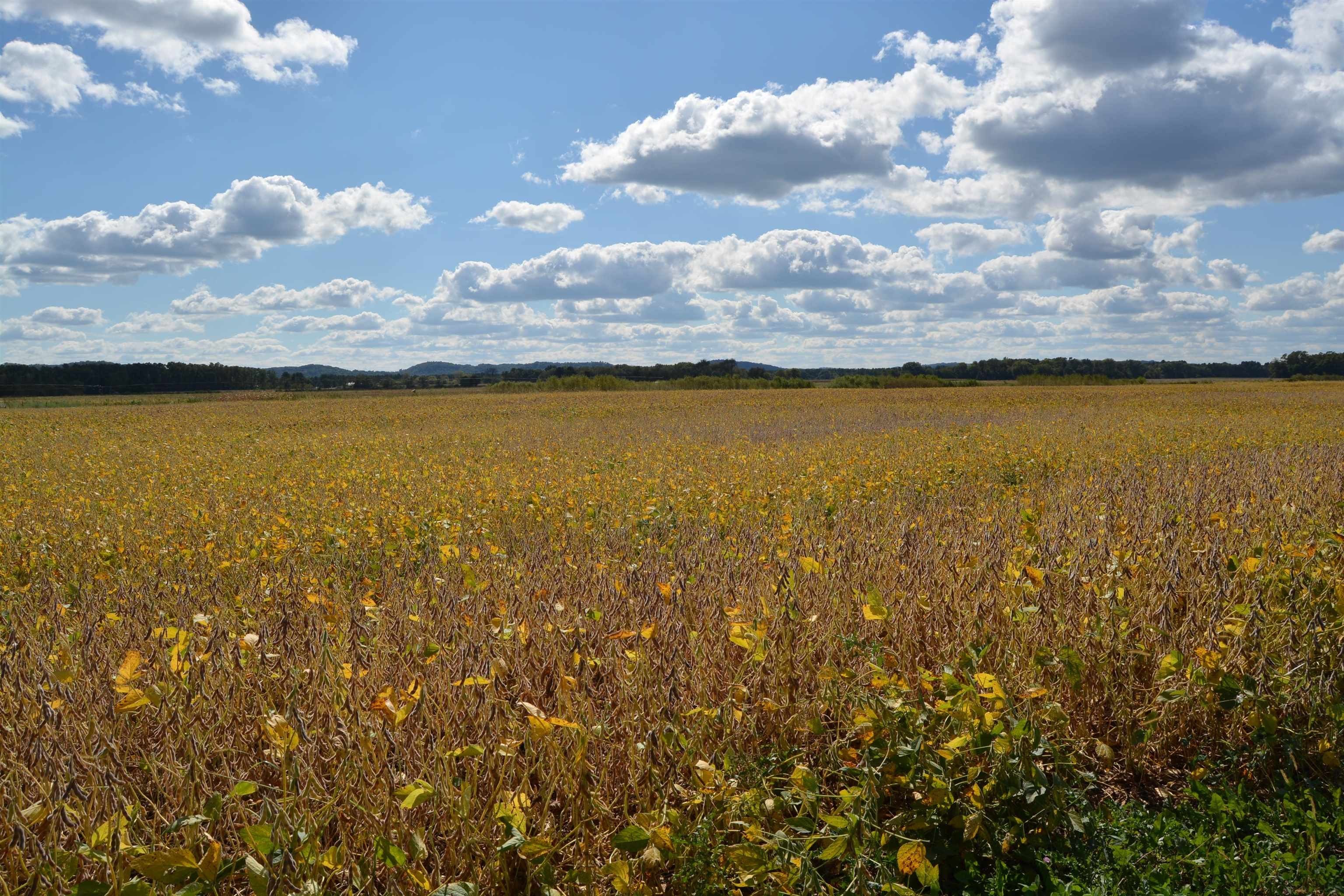 Other - Lot 11 Sommerset Road, Spring Green, WI