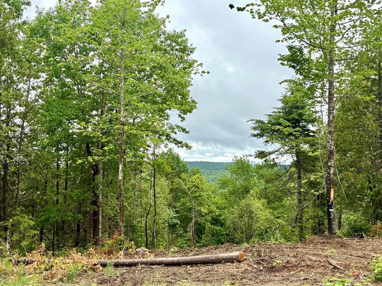 Other - Lot 13 Mt. Jefferson Heights, Lee, ME