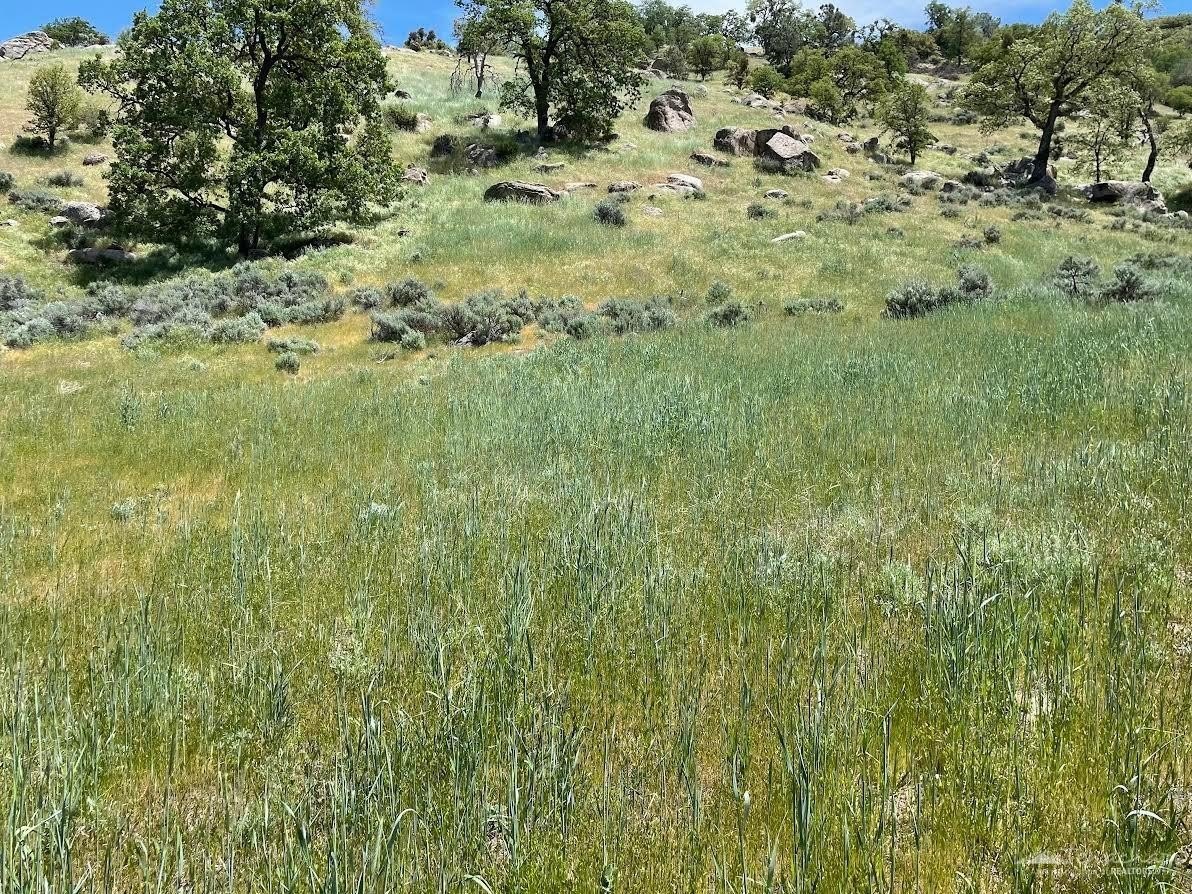Other - 0 Big Sky, Tehachapi, CA