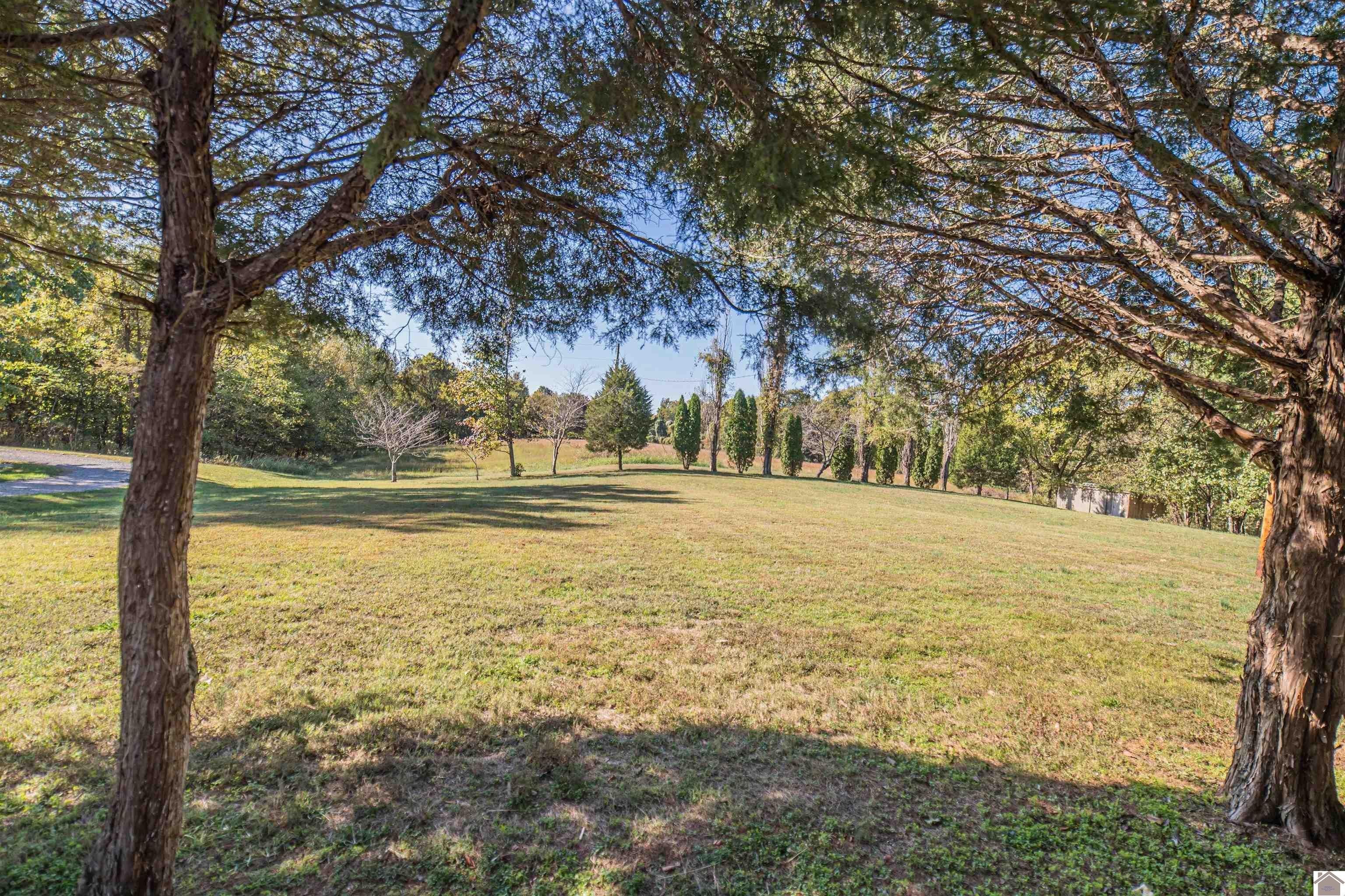 Other - 252 County Road 1228, Arlington, KY