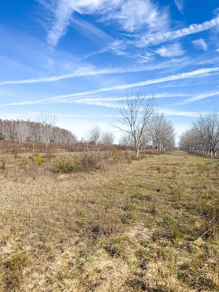 Single Family - 0 Tract 5 Hwy 221, Naylor, GA