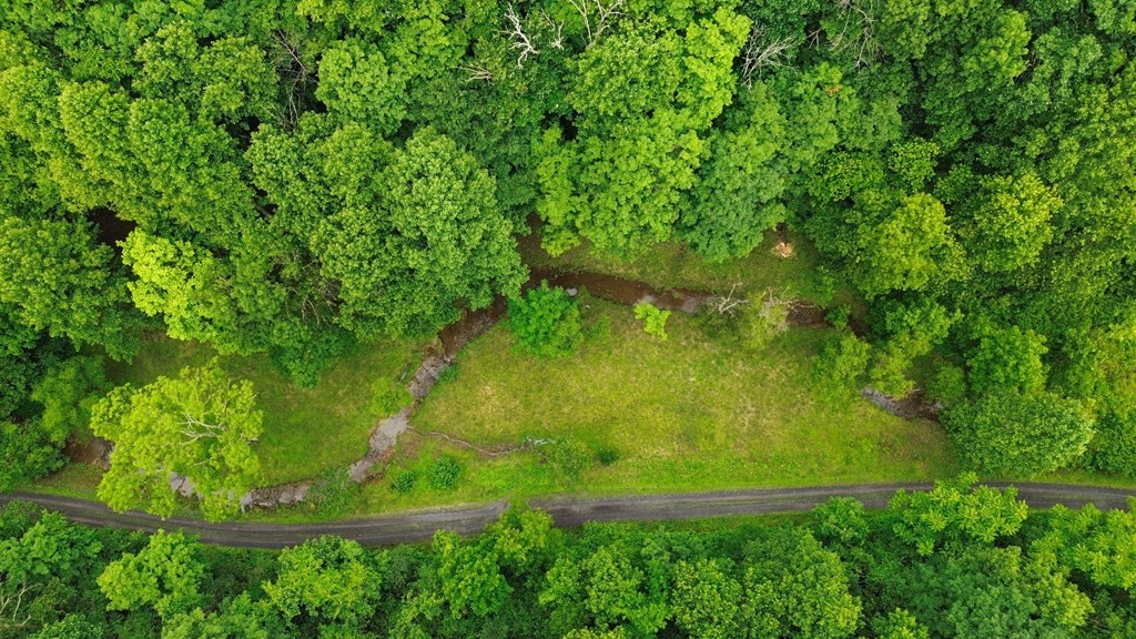 Other - Thompson Creek Road lot: 0, Honaker, VA