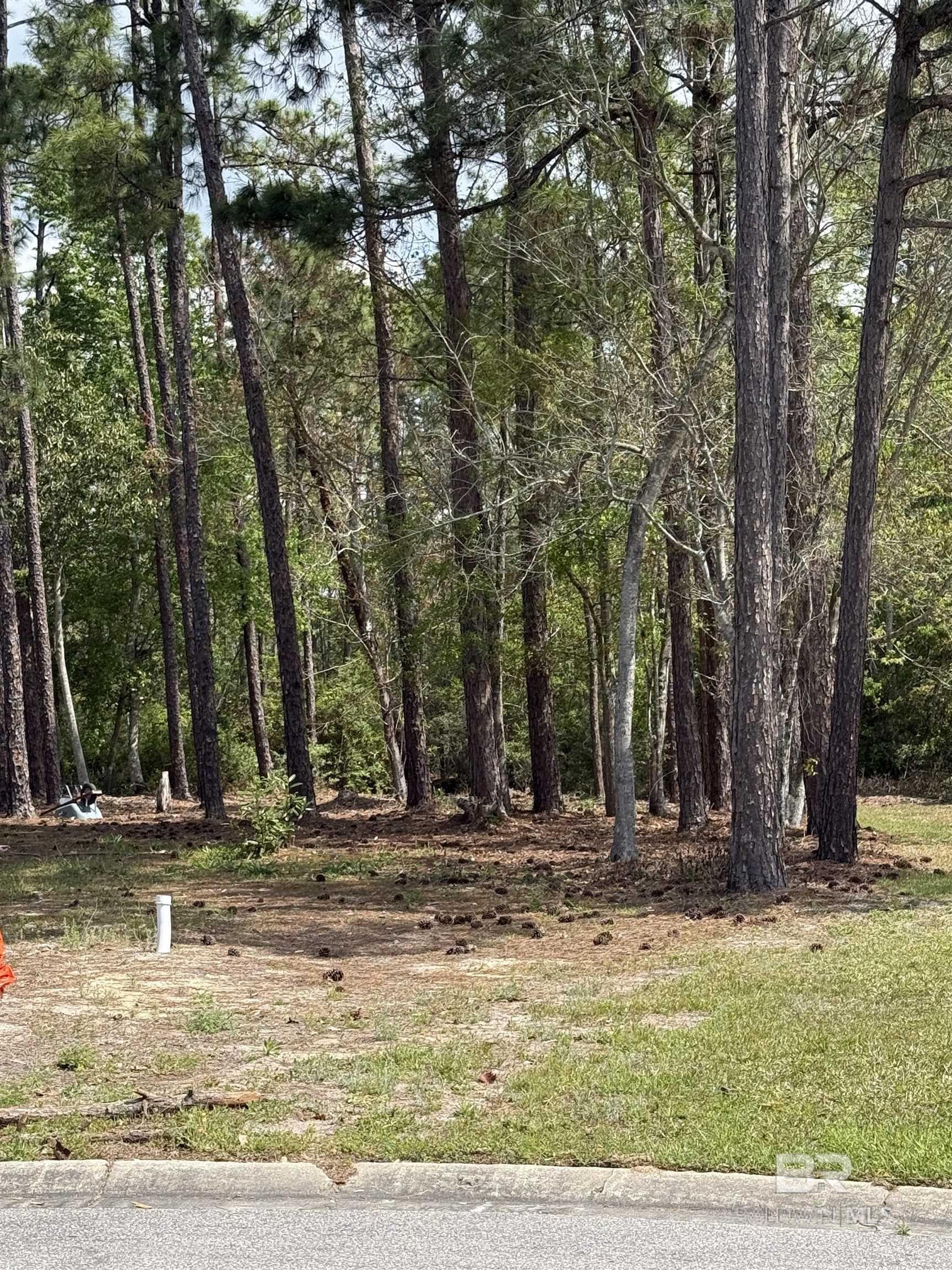 Plots and Land - 4638 Spinnaker Way, Orange Beach, AL