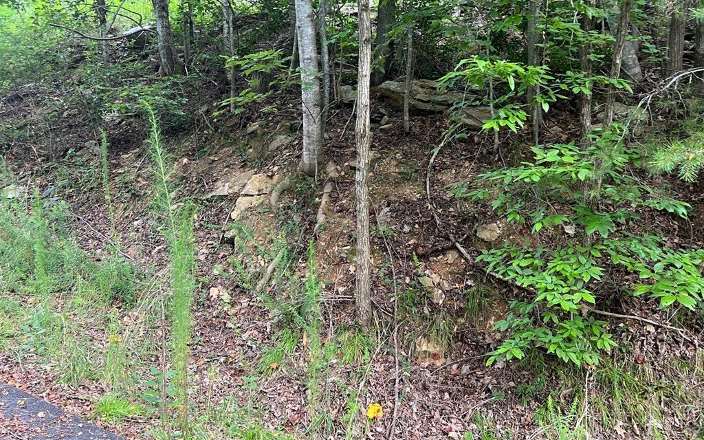 Other - Lot 11 The Preserve, BRASSTOWN, NC