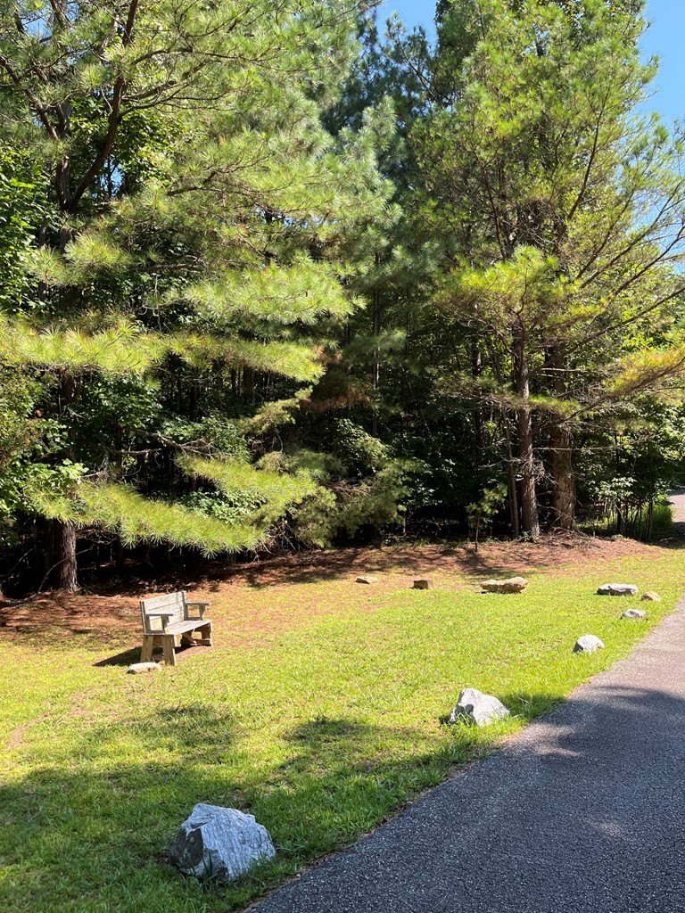 Other - Lot 17 Hidden Branch Drive, Young Harris, GA