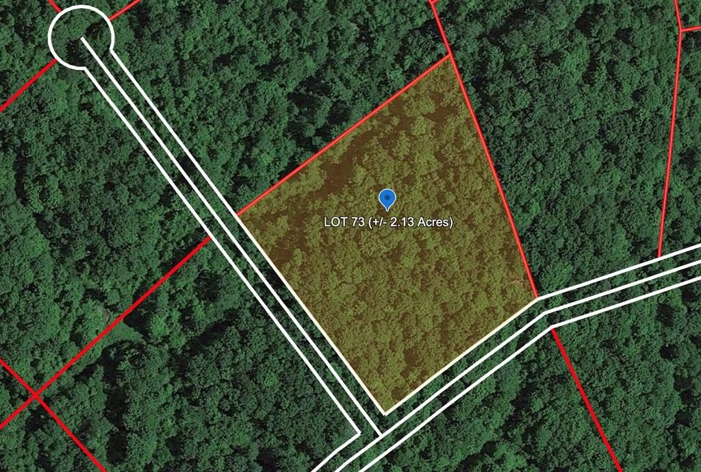 Other - 108 HONEYBEE WAY, BRAGG, WV