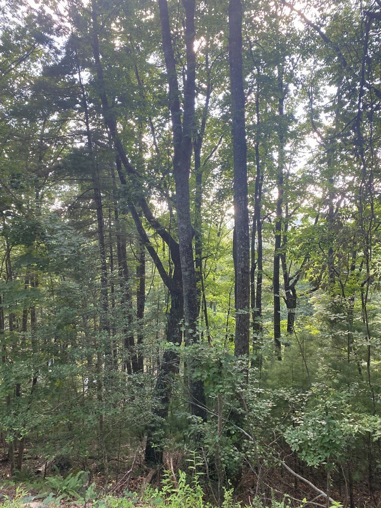 Other - Lot 47 Mountain Top, Blairsville, GA