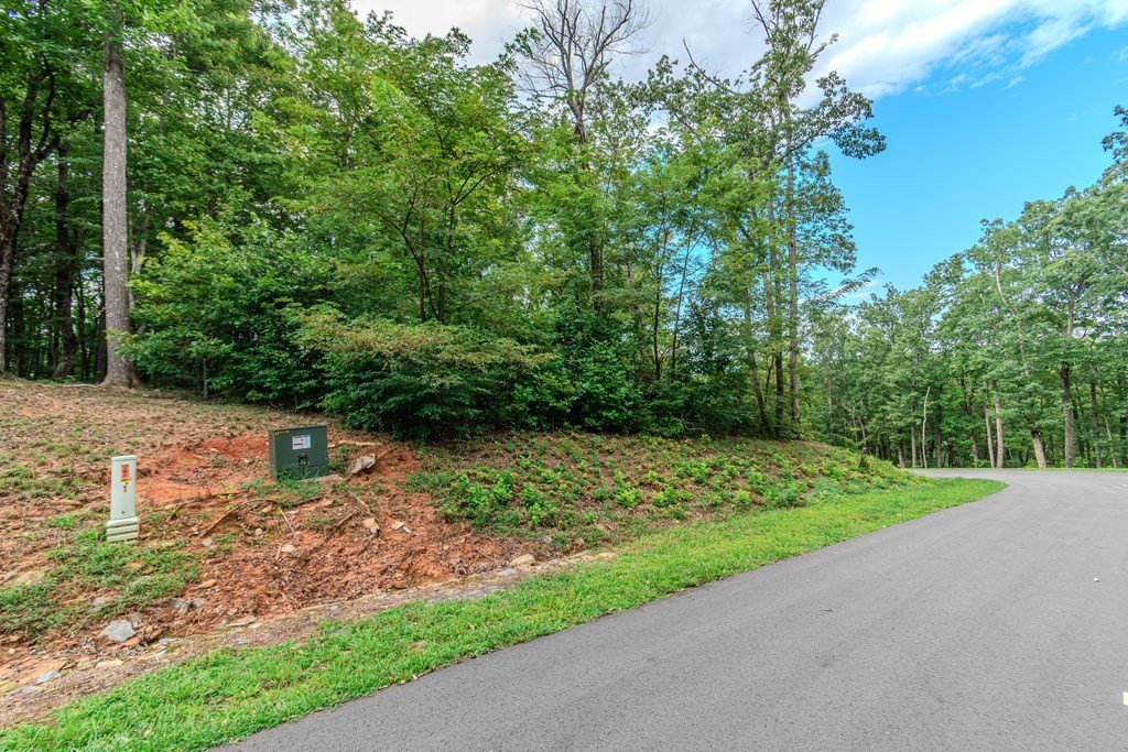 Other - Stone Cliff Drive lot: 219, Jasper, GA