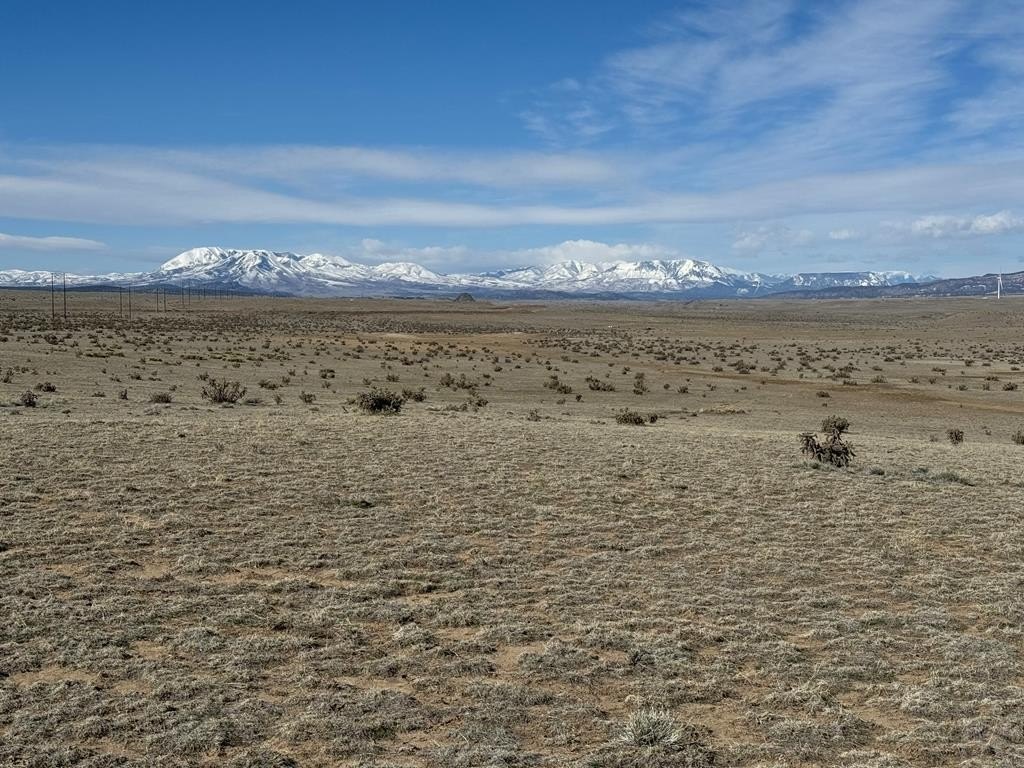 Lot 202 Colorado Land and Livestock  