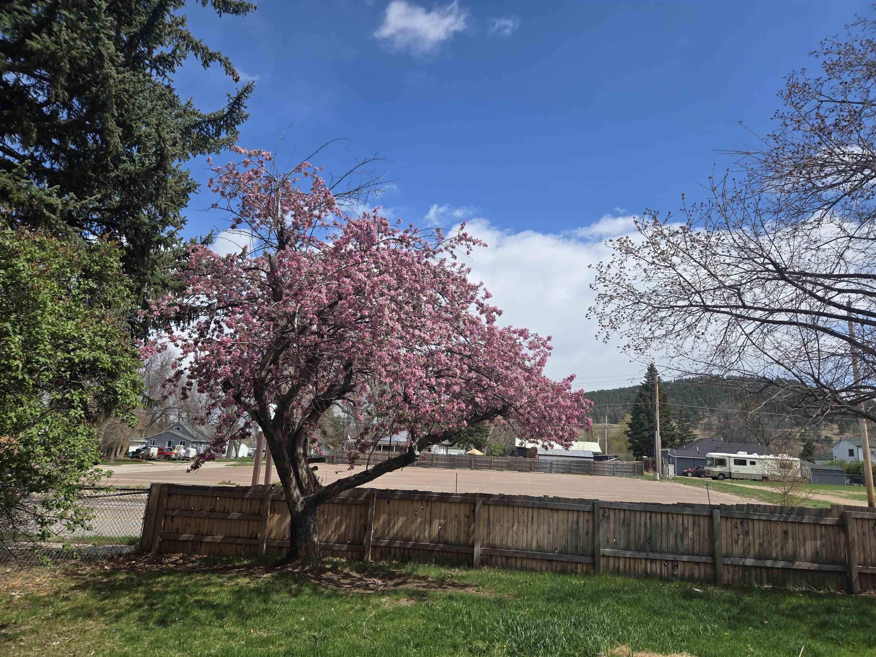 Single Family 2BR 1BA - 1711 Junction Avenue, Sturgis, SD