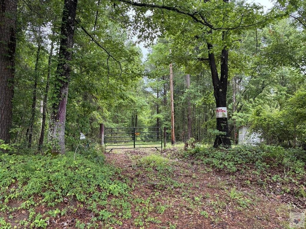 Other - 2096 MC 157, Doddridge, AR