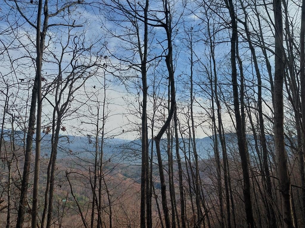 Other - Lands Creek, Bryson City, NC