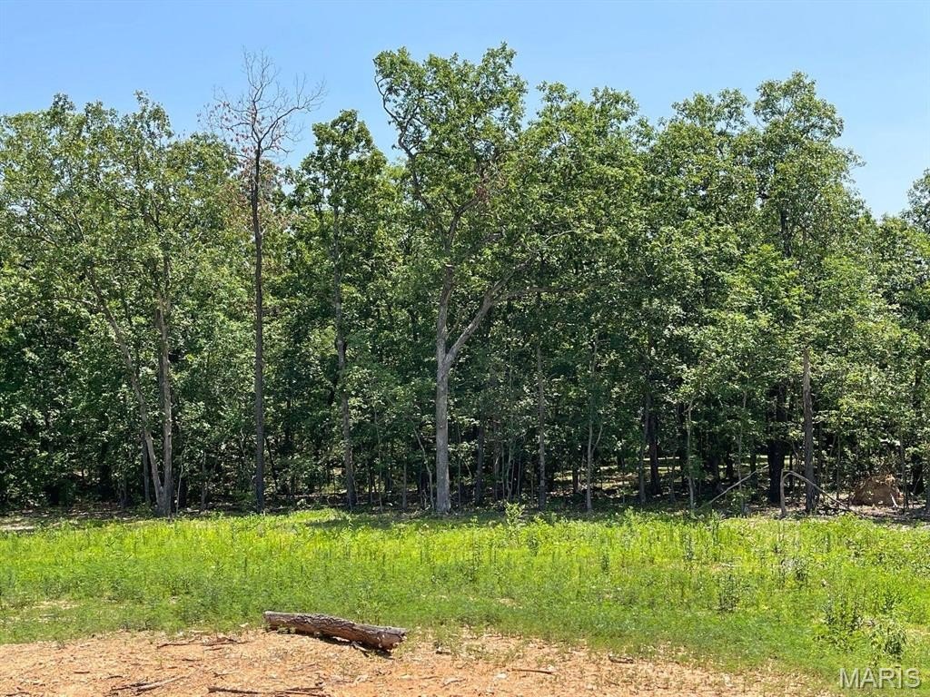 Other - County Road 3440, Mountain View, MO