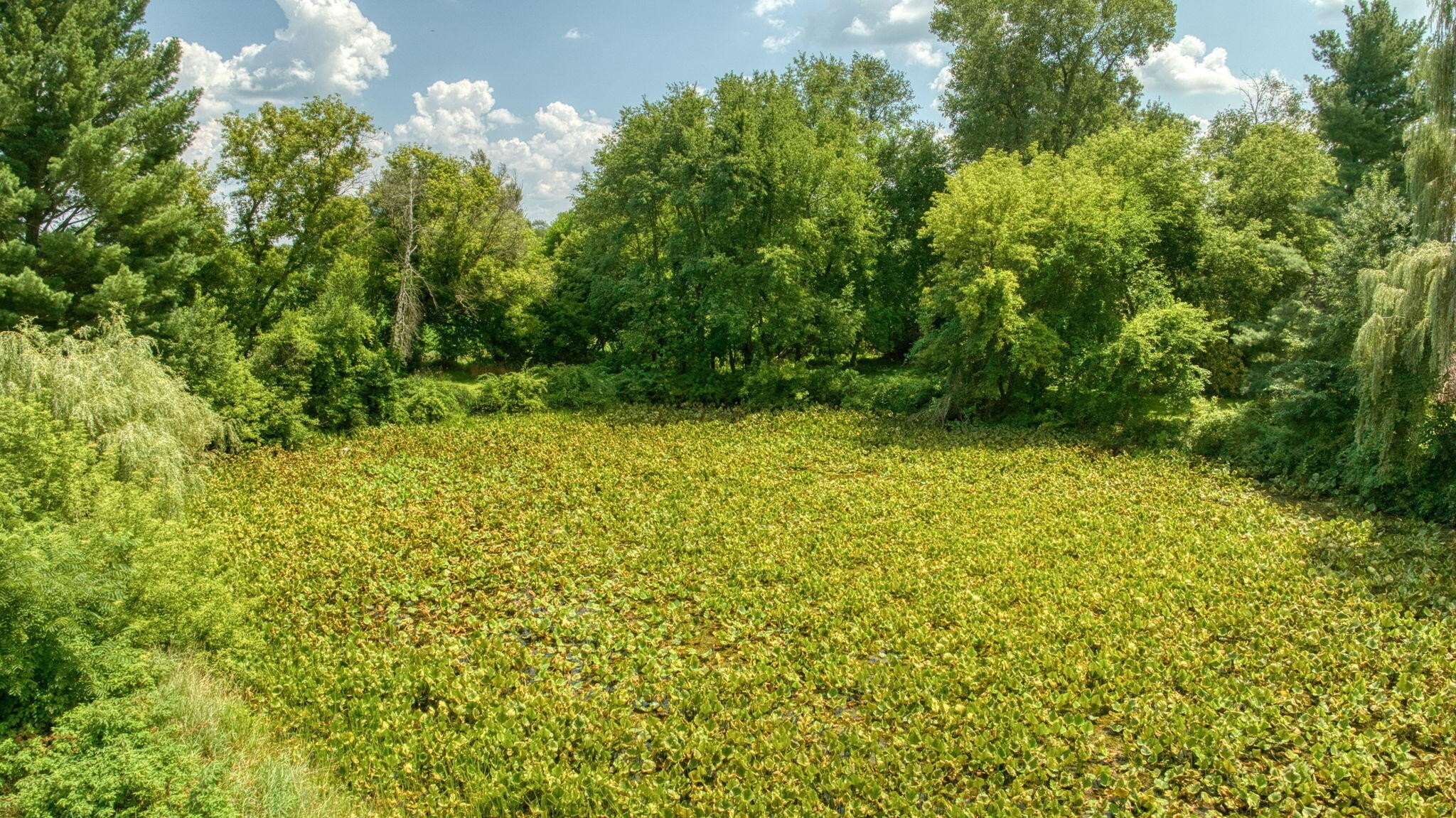 Single Family 5BR 3BA - 7295 N Gibbs Road, Albion, MI