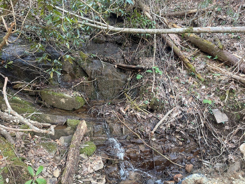 Other - Copperhead Road lot: 5, Sylva, NC