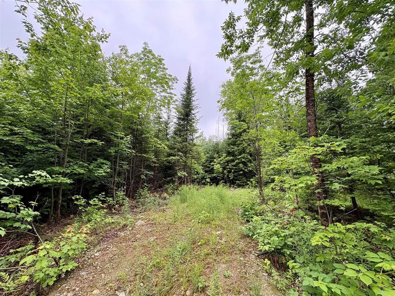 Other - Lot 1 Mt. Jefferson Heights, Lee, ME