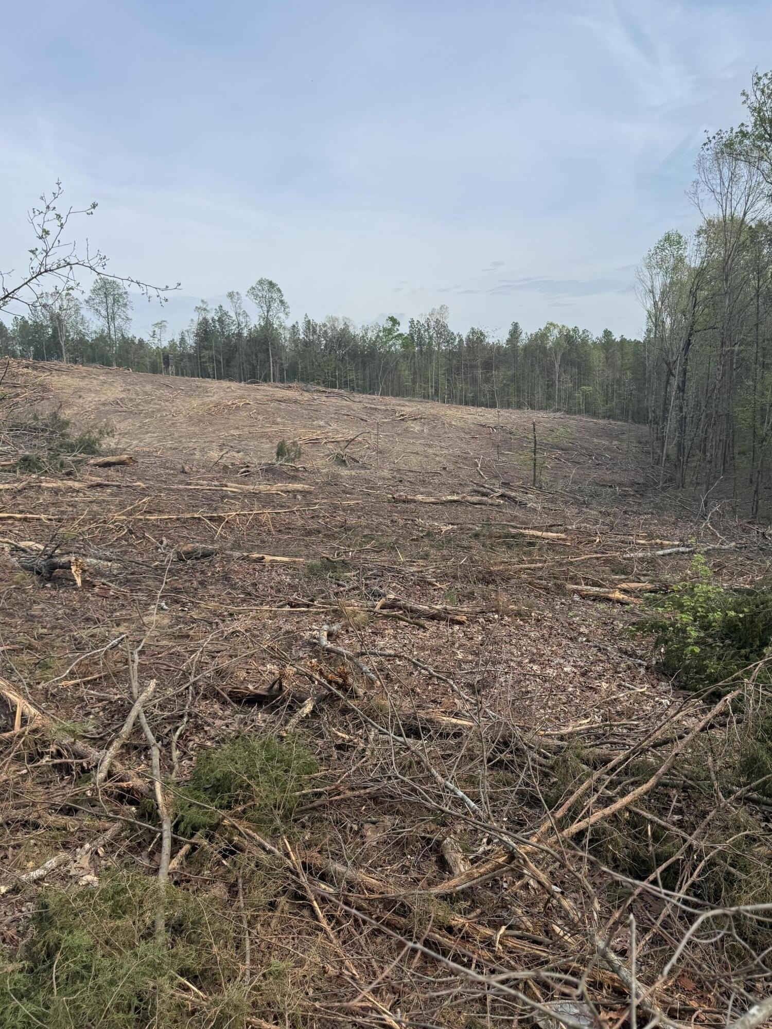 Single Family - CR 442, Oxford, MS