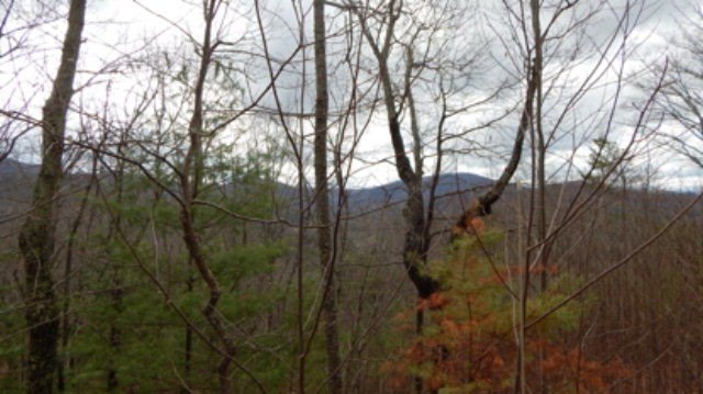 Other - Lot #15 View Ridge Trail, MURPHY, NC