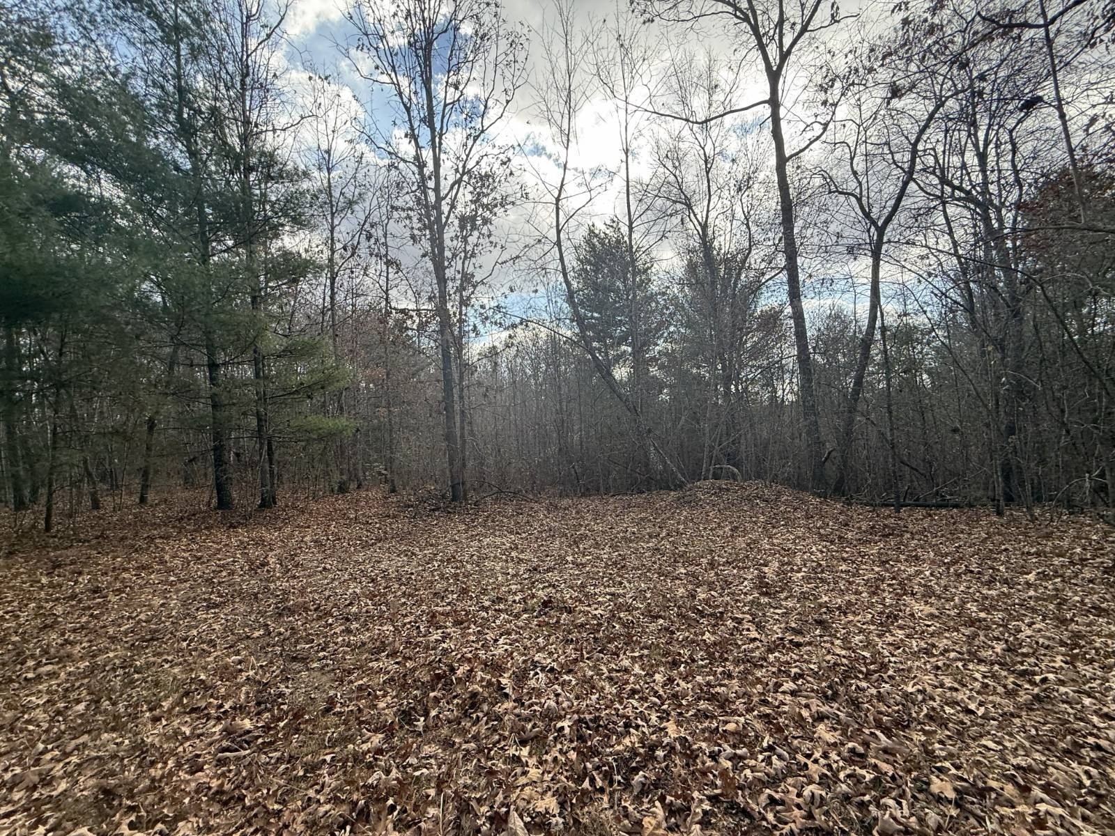 Other - Valerie Dr 10.76 acres, Deer Lodge, TN
