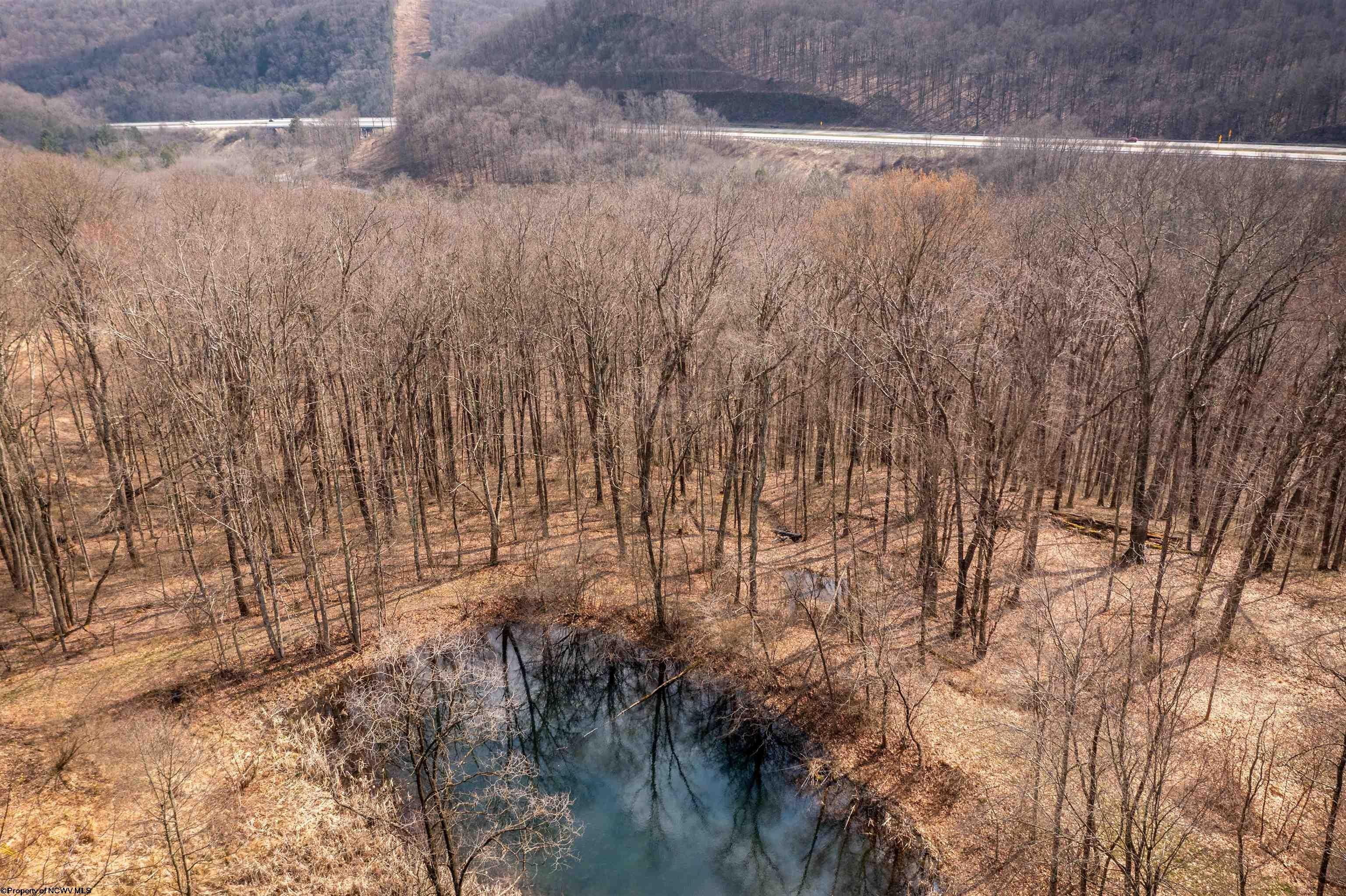 Other - TBD Coopers Rock Drive, Bruceton Mills, WV