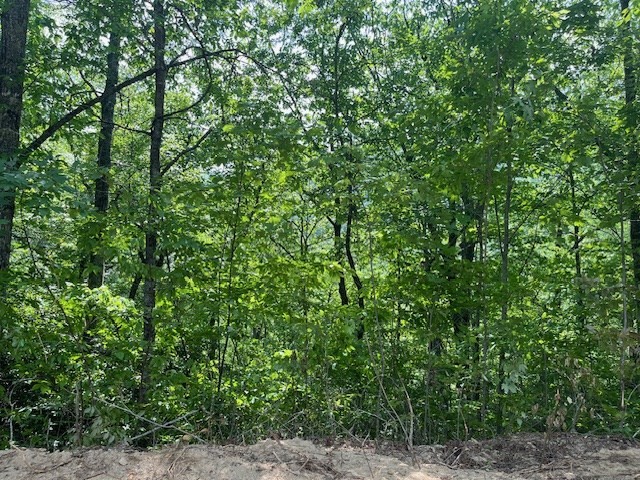 Other - 49 & 50 Houston Farm Rd lot: 49/50, Bryson City, NC