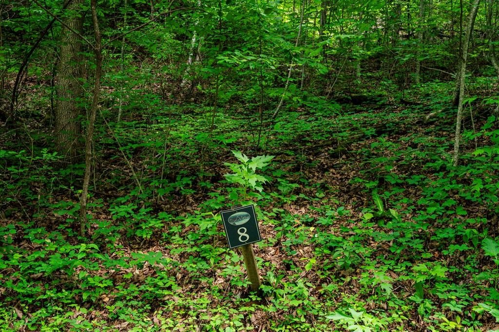 Other - 8 Skyview Drive, Hayesville, NC