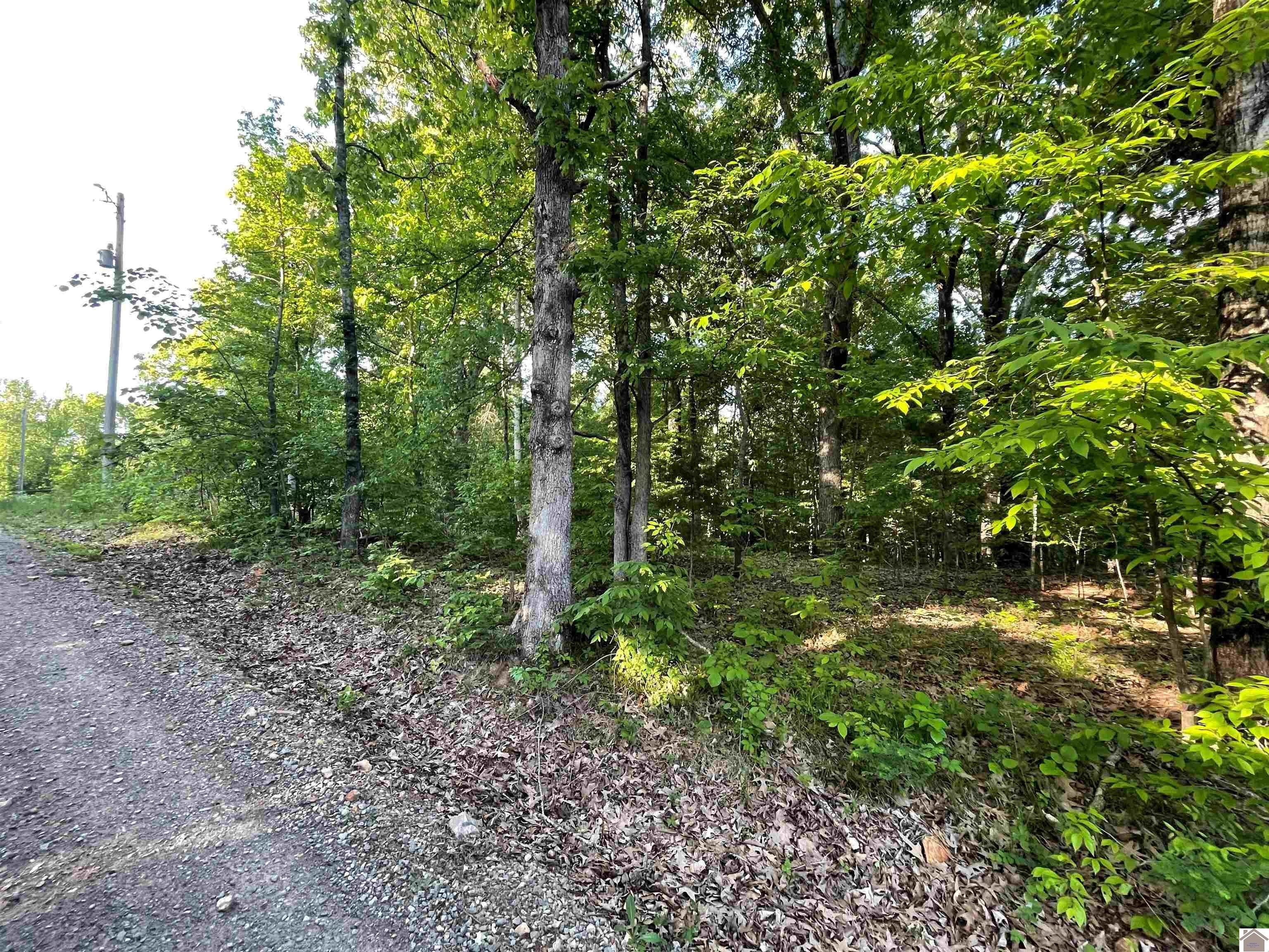 Other - Pines Circle lot: 4X, 5X, 6X, Cadiz, KY