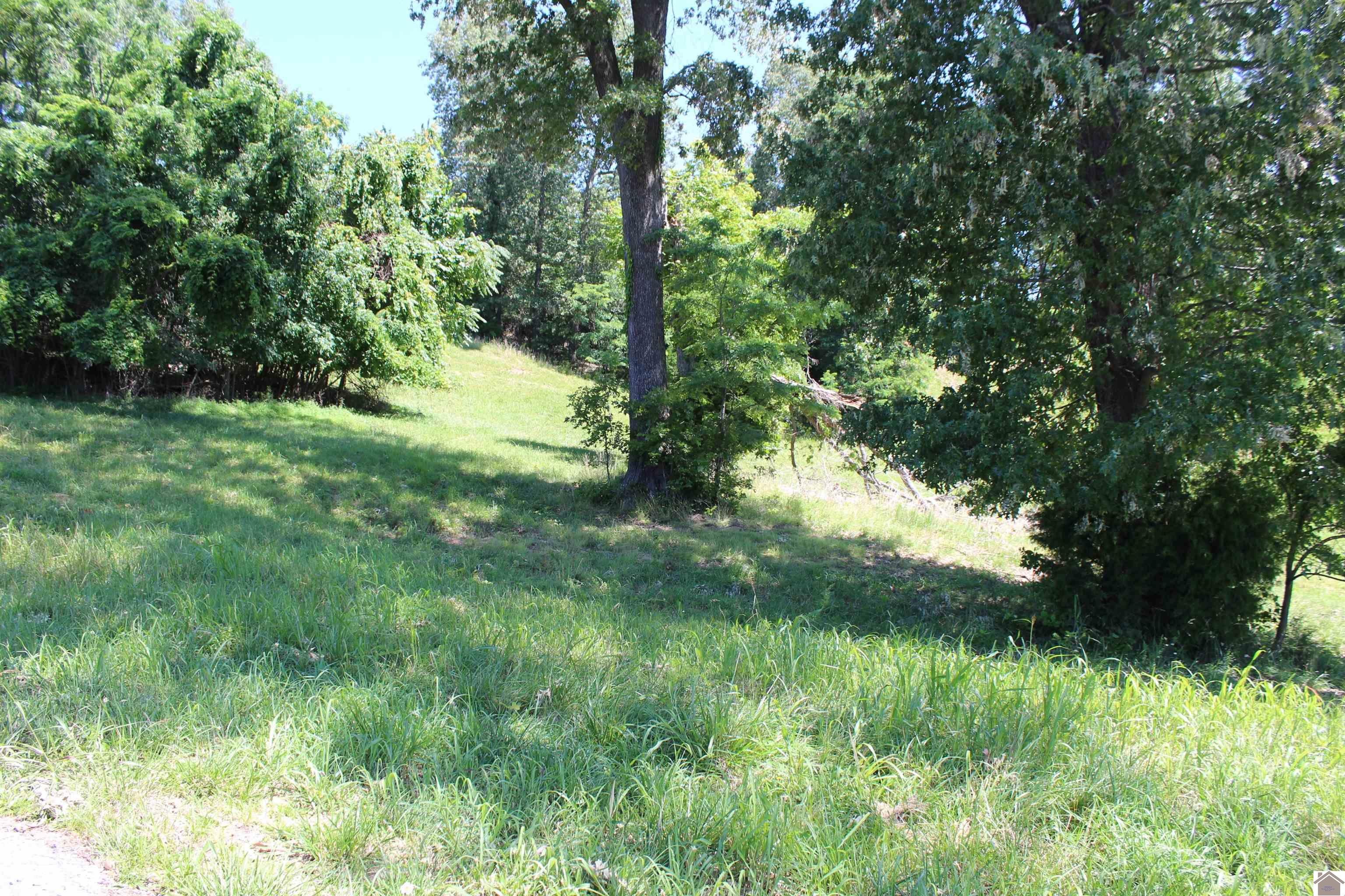 Other - Lot 27 Oak View Lane, Eddyville, KY