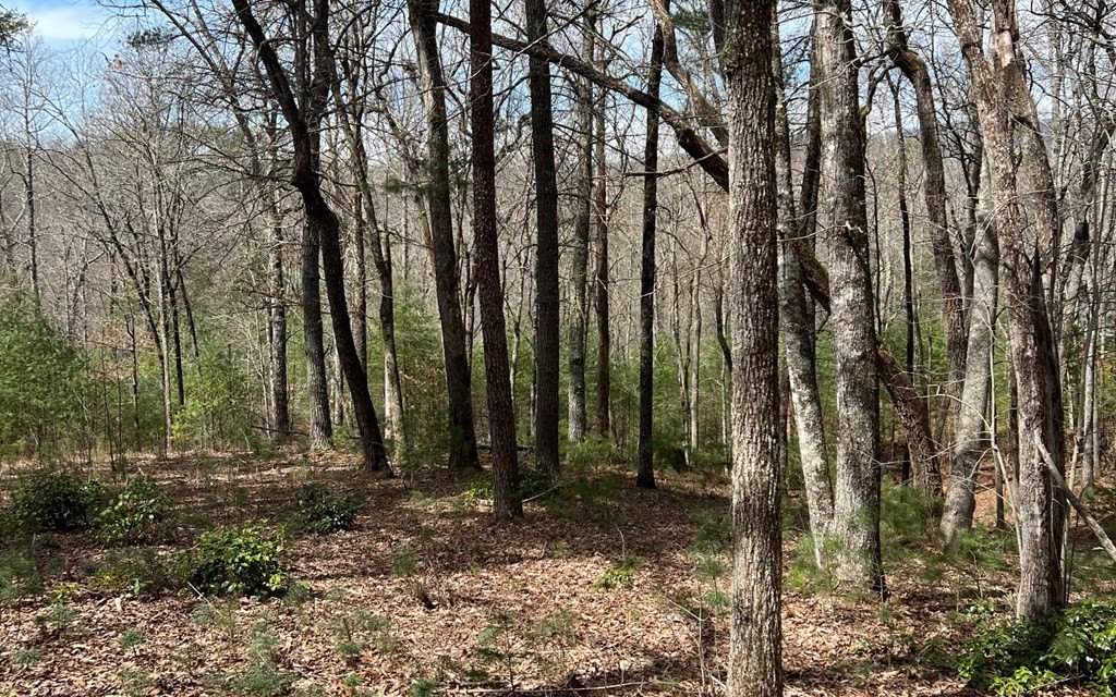 Other - Lot E Timber Ridge, Hayesville, NC