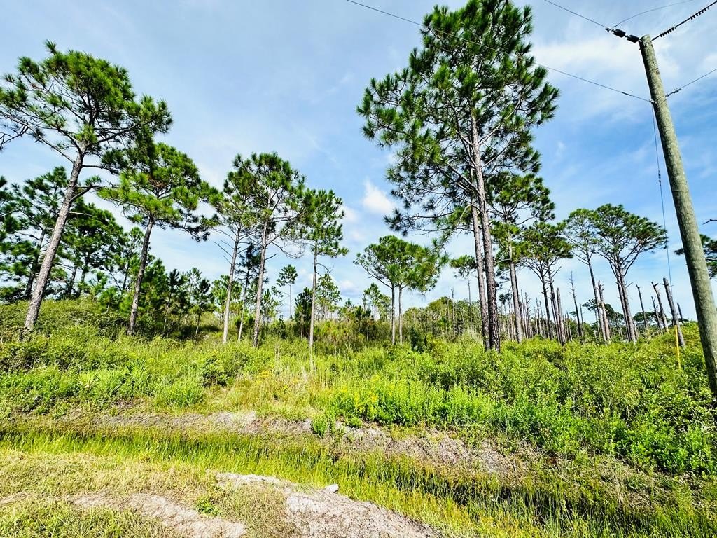 Other - 642 Ridge Rd, Eastpoint, FL