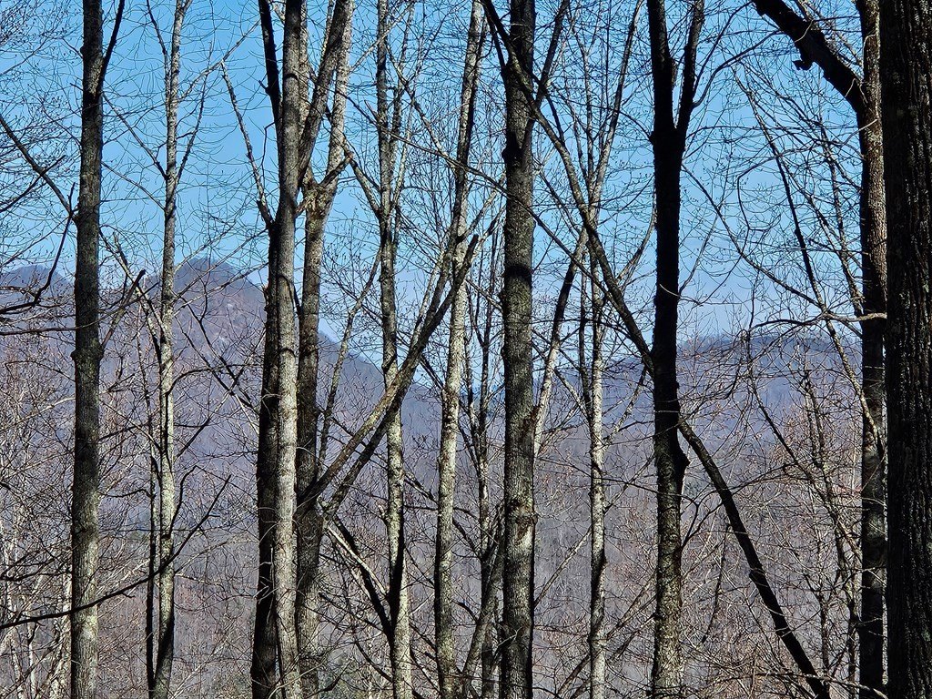 Other - Whisper Mountain Road lot: 1-7+31, Franklin, NC