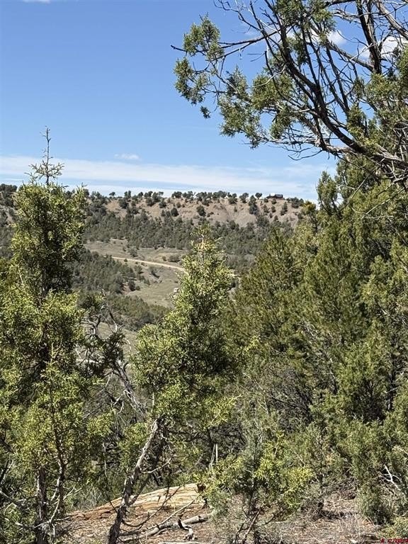 Single Family - TBD J8 Road, Mancos, CO