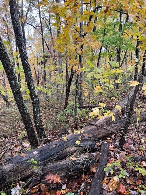 Other - Belmont lot: 7, Monterey, TN