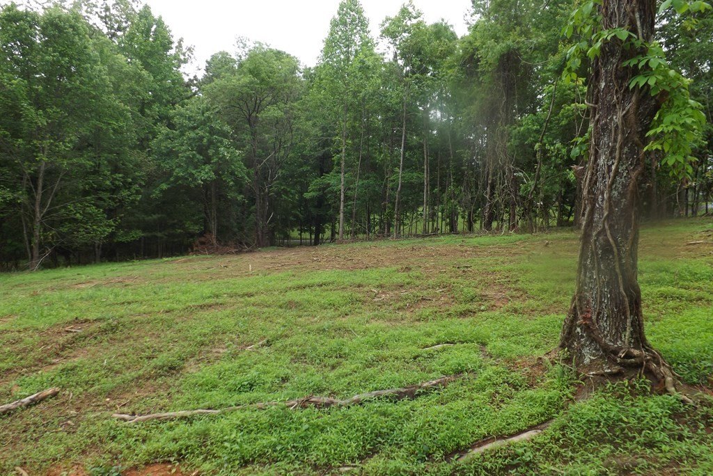 Other - Lot 4 Heritage Hills Drive, Blairsville, GA