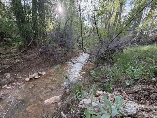 Other - 316 W Sunflower Cir, Duck Creek Village, UT