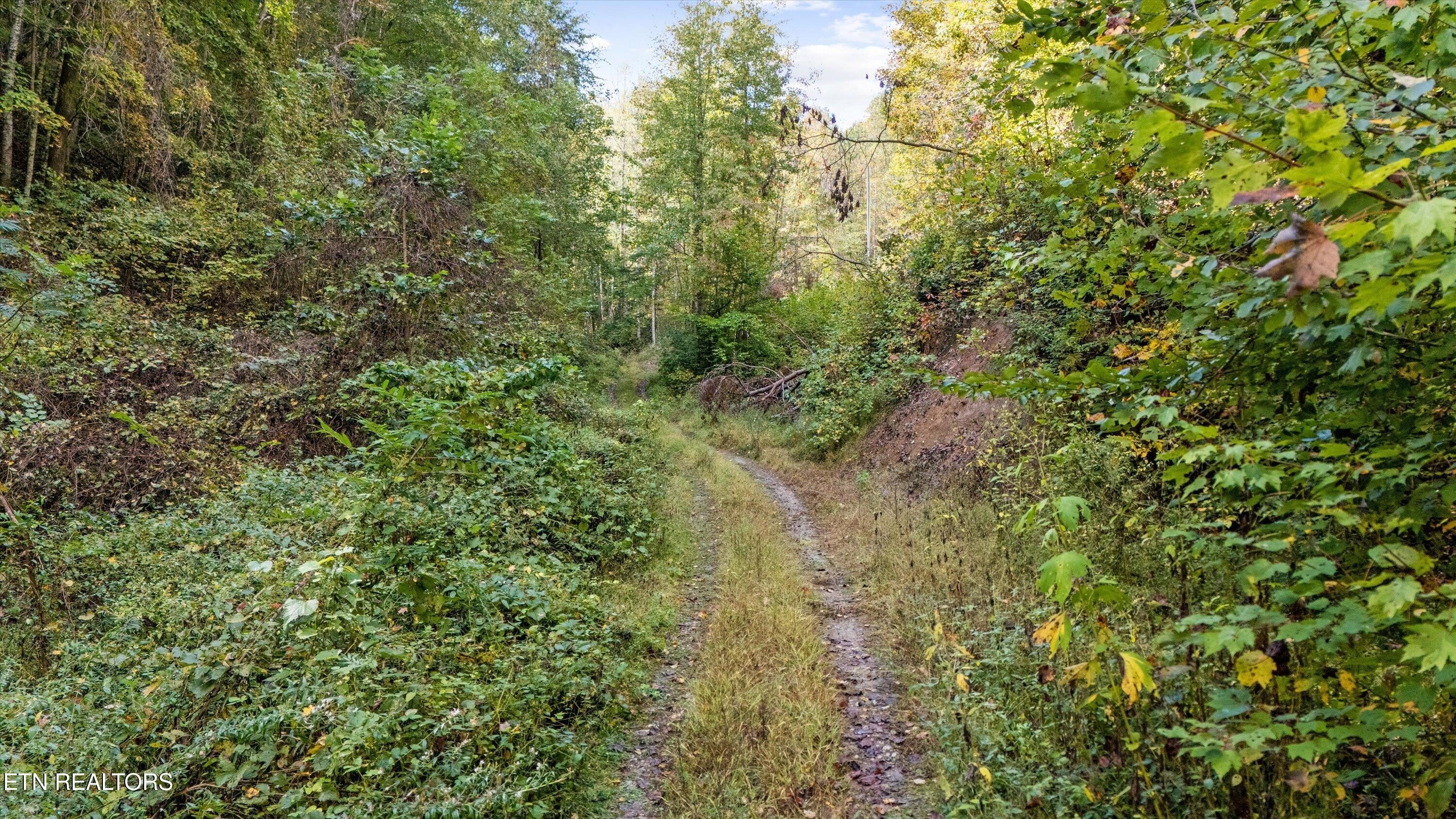 Other - 560 Prospect Rd, Luttrell, TN